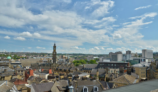 Garden Turf In Bradford