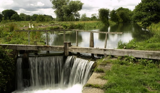 Driffield Lawn Turf Suppliers