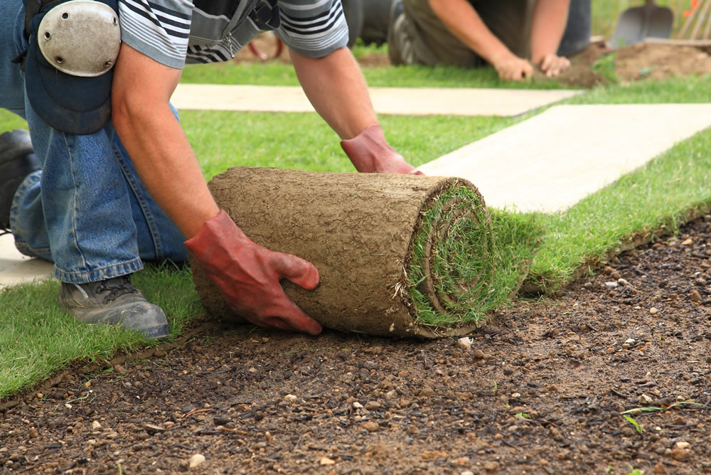 Turf laying service