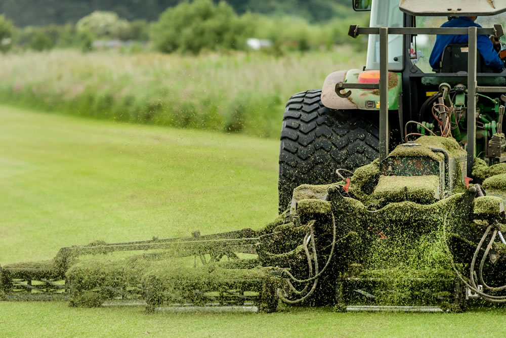 local authority or council looking for quality, durable, hardwearing
            turf