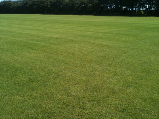 Our Turf Field