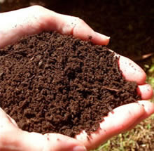 Topsoil products