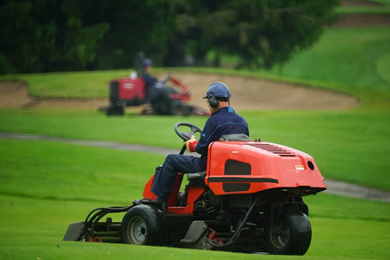 Sports Turf For Golf Courses