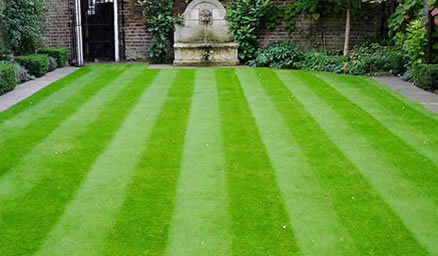 Lawn Care